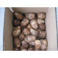 New Crop Fresh Good Quality Taro for Sale